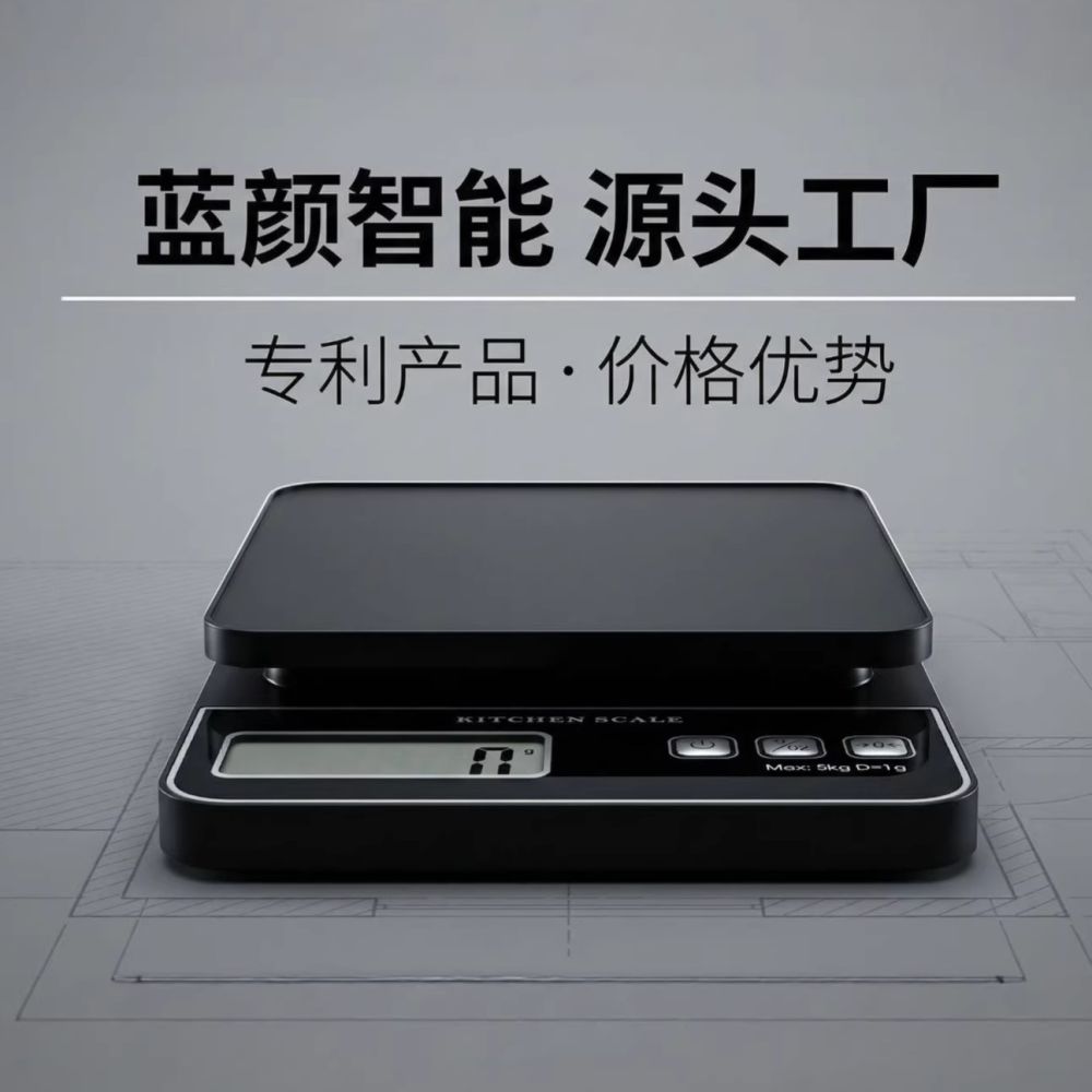 Cross-border High-Precision Kitchen Scale Food Scale Digital Kitchen Scale Baking/Coffee/Pet Specialized Gram Scale 1g Weighing