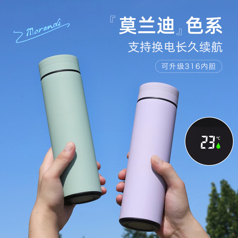 Isolierte Wasserflasche für Damen, elegante Großhandels-Thermoskanne mit intelligentem Temperaturanzeiger aus 316er Edelstahl, spezielle kompakte 304er Taschenflasche. - 1