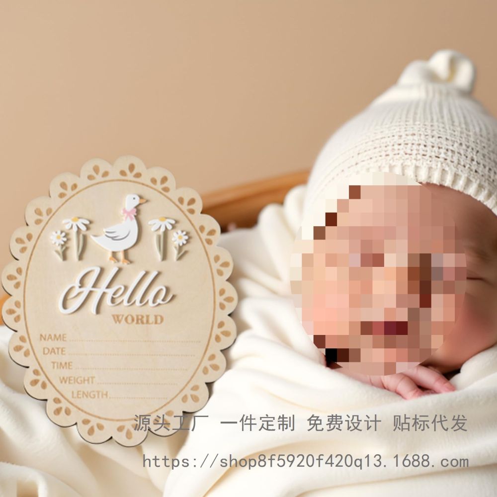 Baby Announcement Sign, Creative Decorative Label Handicraft