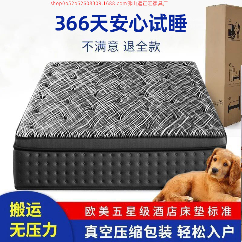30cm Roll-Up Vacuum Compressed Latex Mattress with Independent Springs
