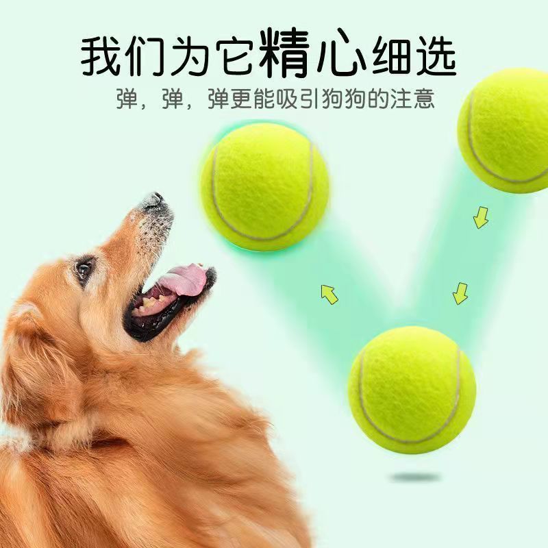 Evcil hayvan çiğneme oyuncağı, elastik kauçuk, tenis topu