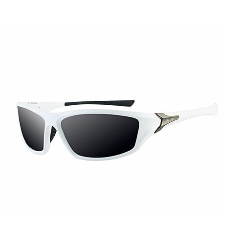 Grenzüberschreitende Direktversorgung polarisierte Sonnenbrillen UV-Schutz Europa Amerika Sport Outdoor Sportbrille Farbeffekt Radfahren Winddicht Bergsteigen D120 - 11