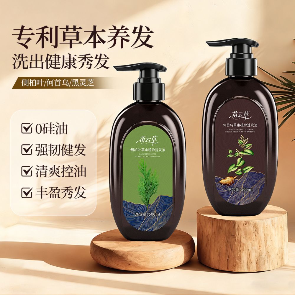 侧柏叶洗发水无硅油蓬松控油草本代熬植物何首乌洗发水养发批发