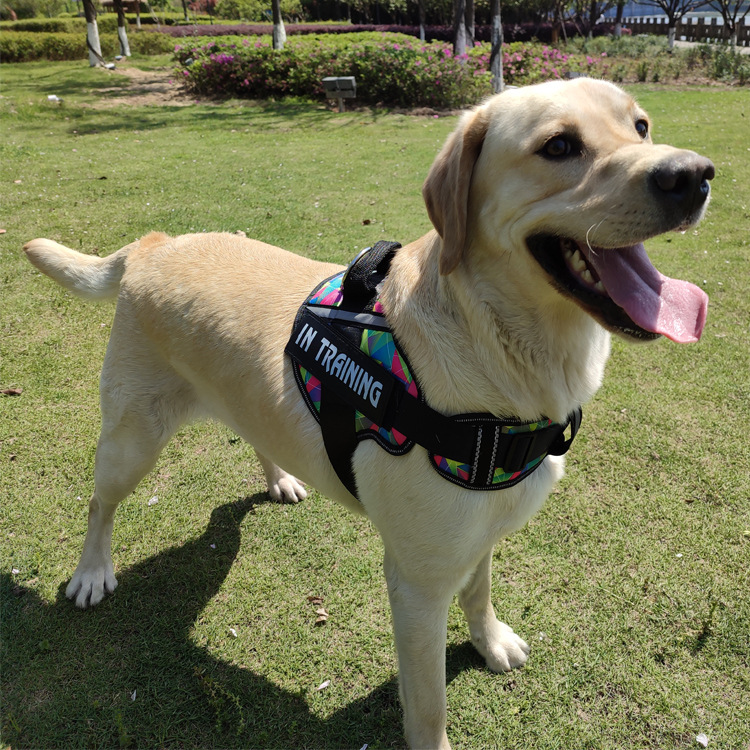 Dog Harness Vest Style Leash for Large, Medium and Small Dogs
