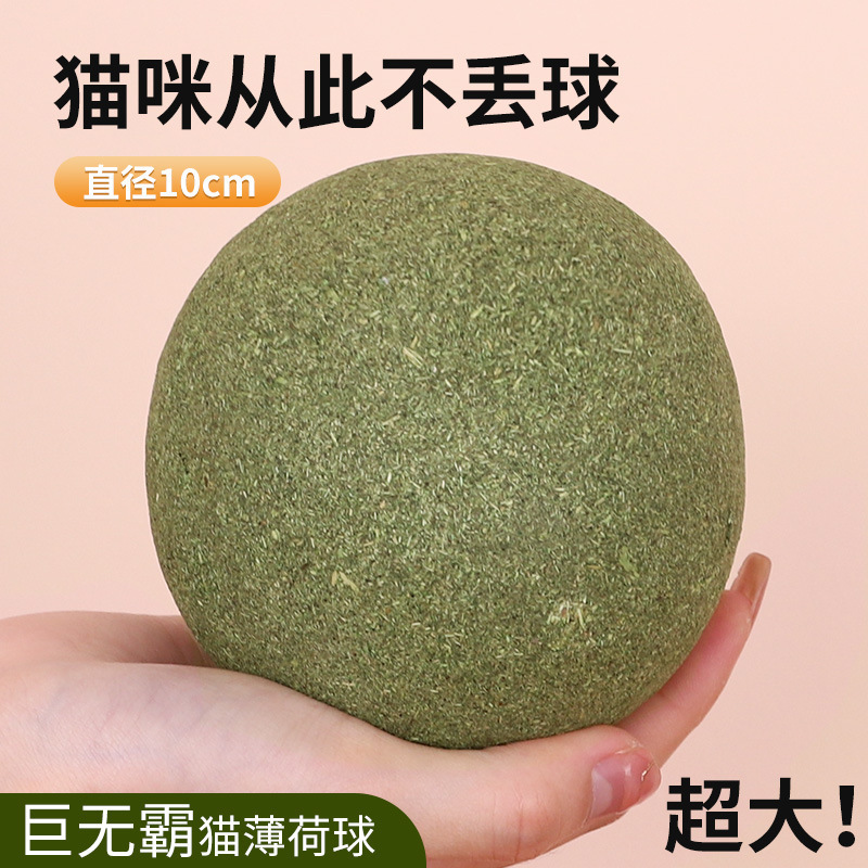 10cm Hollow Mint Ball, Cat Teeth Cleaning Toy - 1