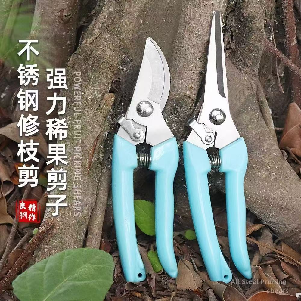 Florist scissors for flower arrangements, pruning shears, garden pruning branches, flower branches, bonsai flowers, fruit picking tool