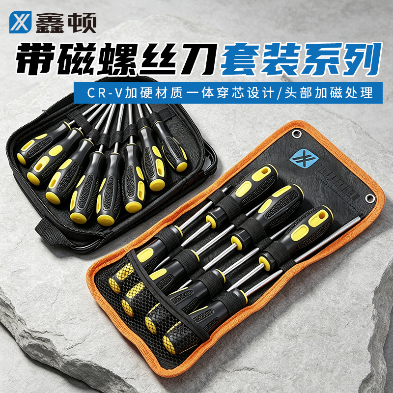 Screwdriver set, magnetic, slotted and Phillips bits