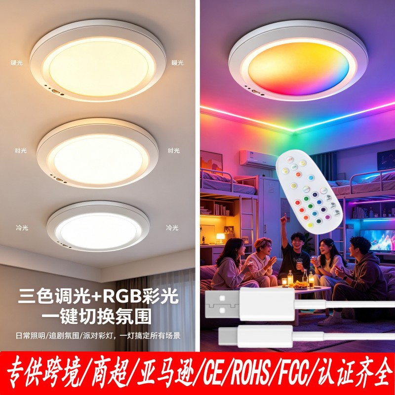 跨境无线电池供电磁吸人体感应灯过道入户走廊玄关衣帽阳台吸顶灯