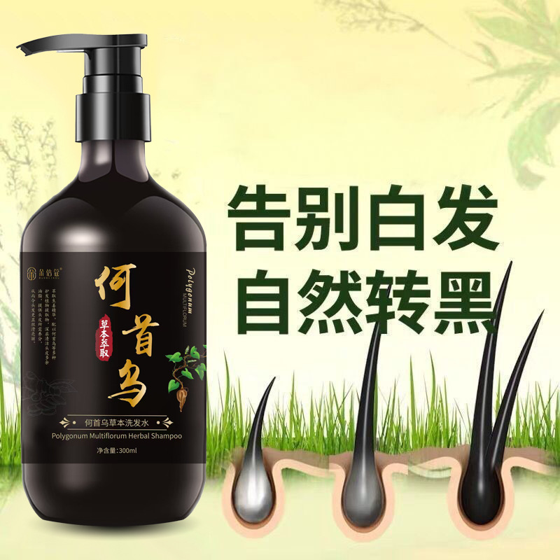 Kräuter-Haarshampoo schwarz mit Heshouwu, gegen graues Haar