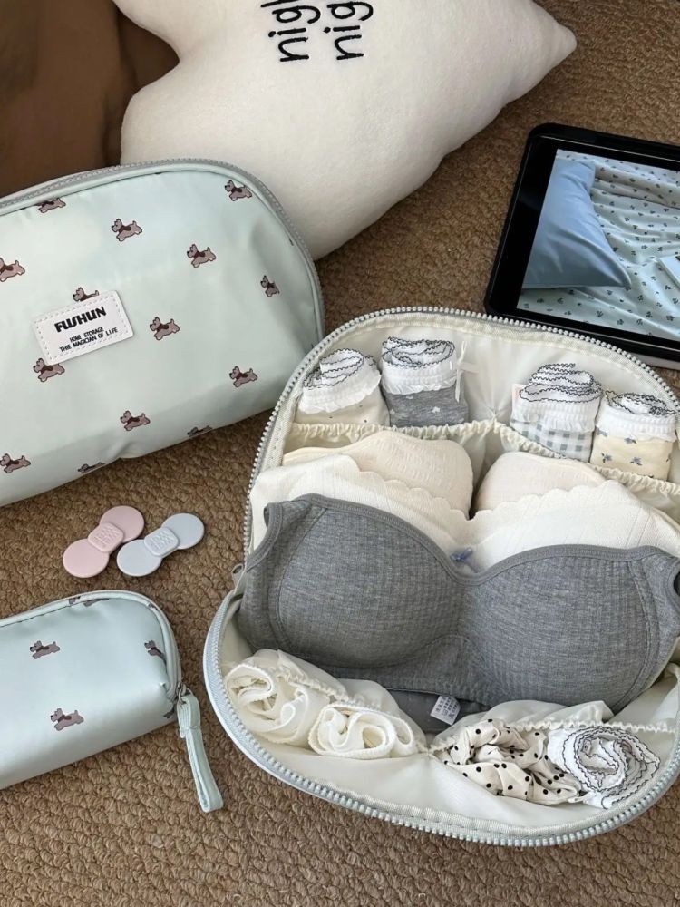Underwear storage bag compartmented portable