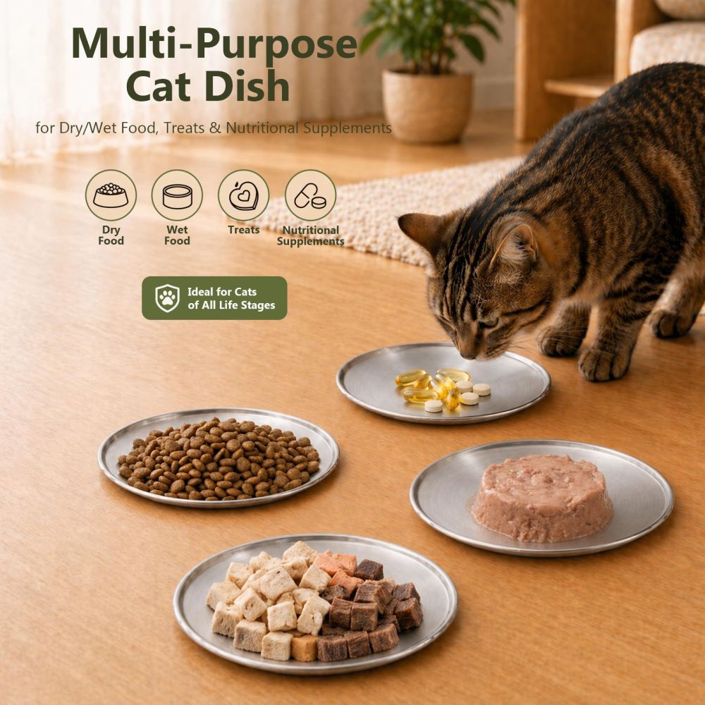 304 Stainless Steel Cat Bowl Four-Piece Set 6.7 Inch Gold Silver Round Plate Small Cat Multi-Cat Pet Supplies In Stock