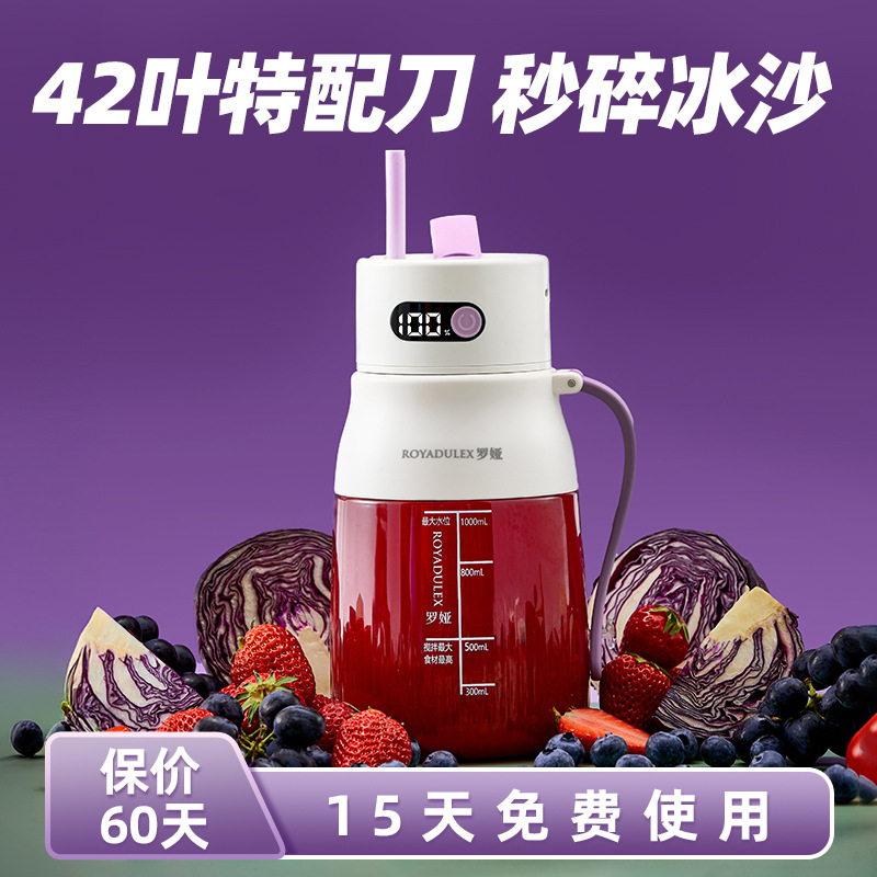 Fruit juicer, portable, large capacity - 1