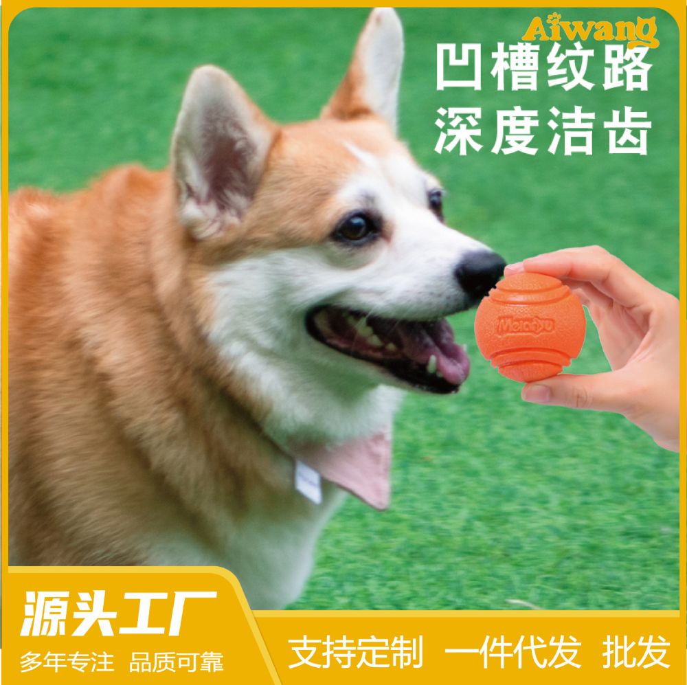 Elastischer Hundeball aus massivem Gummi, bissfest und zahnfleischschonend