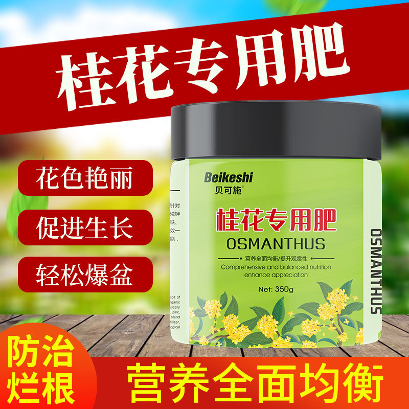 Osmanthus Granular Compound Fertilizer for Spider Plants and Potted Flowers - 1