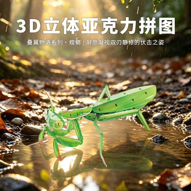 Naqu Pin Acrylic 3D Puzzle DIY Assembly Model, Children's Simulation Toy