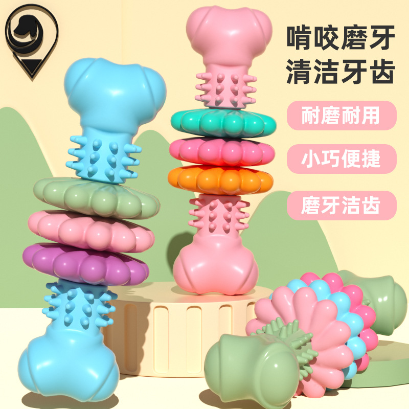 New Pet Toy Dog Toy TPR Bone-Shaped Succulent Slice Chew Resistant Molar Toy Set