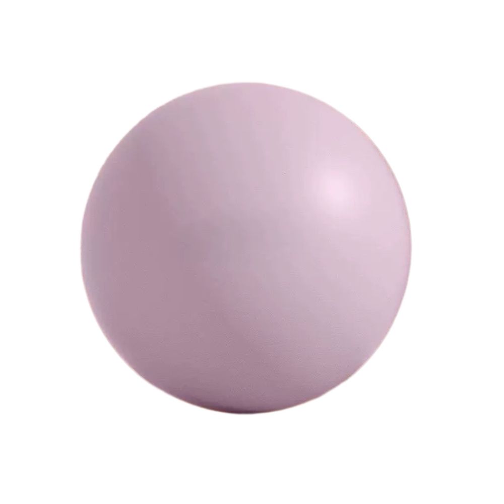 PVC Mini Yoga Topu 25cm Pilates Küçük Topu Pelvik Taban Kas Antrenmanı Fitness Kalın Patlamaya Dayanıklı Mat Buğday Tüpü Topu - 5