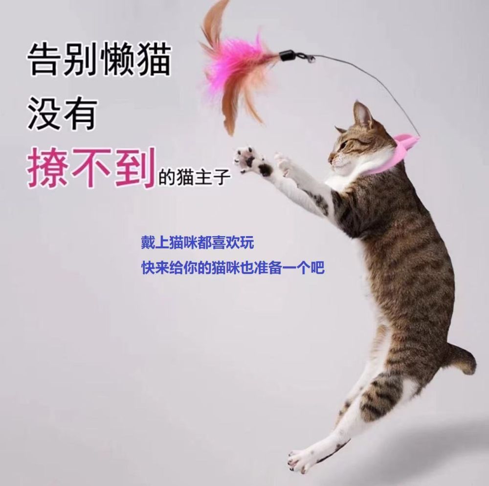 Adjustable Cat Toy Collar with Feather Bell, Self-Play