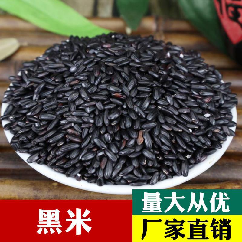 Northeast Black Fragrant Rice Whole Grain
