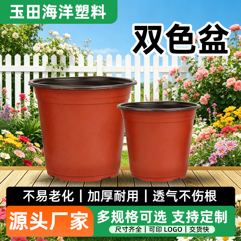 Two-Color Disposable Plastic Seedling Pot, Large, for Succulent Cuttings