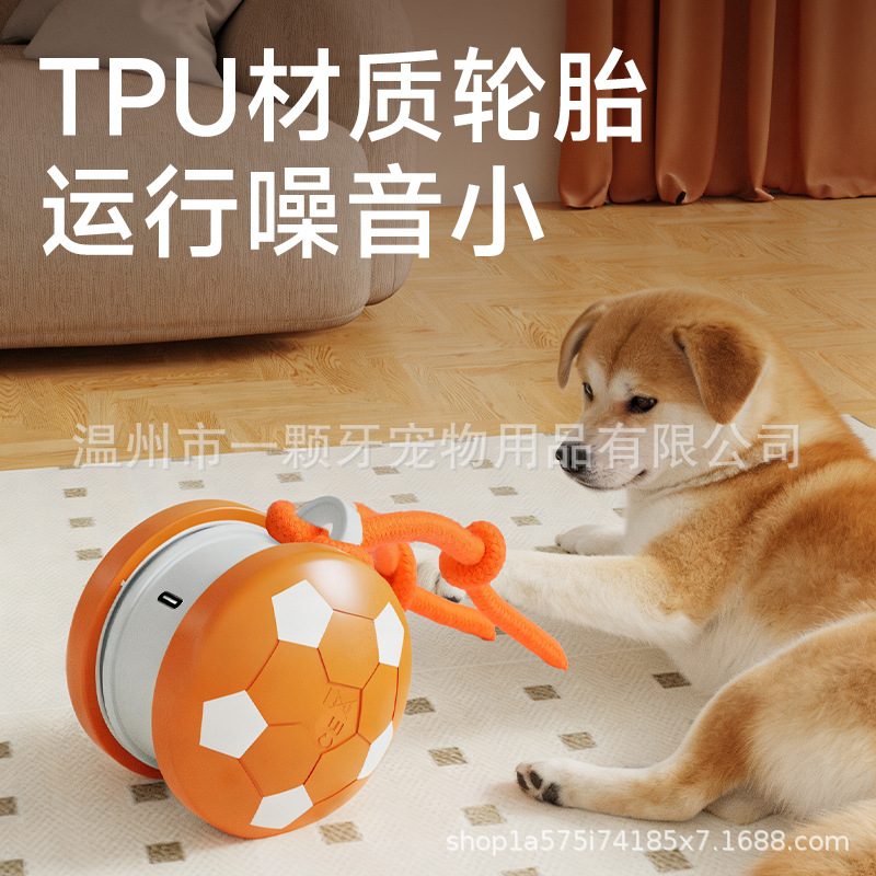 Bite-Resistant Cat Toy Ball with Rope, Self-Play Interactive Toy