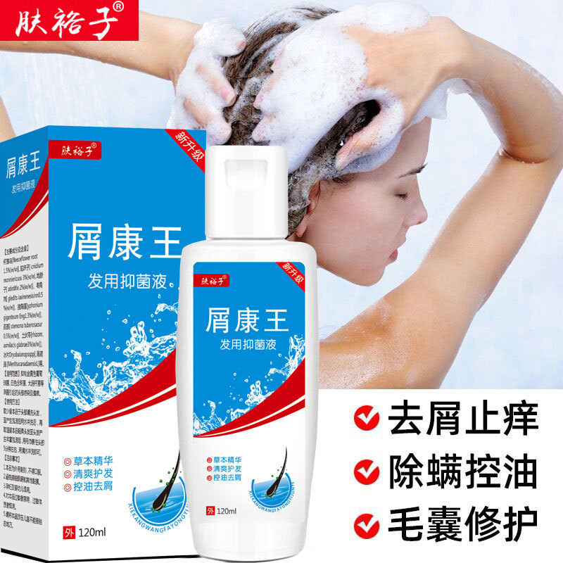 Kangwang Antischuppen Antijuckreiz Kopfhaut Talgregulierung Shampoo - 1