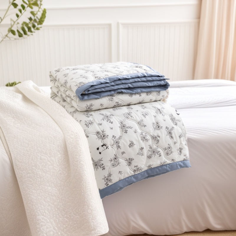 Air conditioning comforter summer cooling quilt machine washable summer single and double 2025 new summer student dormitory thin quilt cross-border - 1