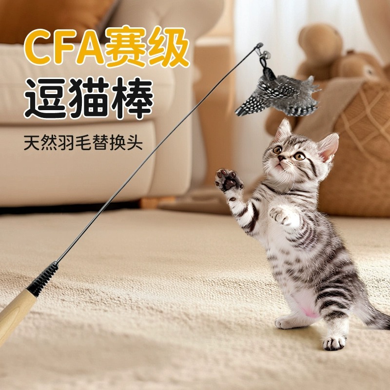 Cat Teaser Wand with Spotted Feather Replacement Head, Chew-Resistant - 1