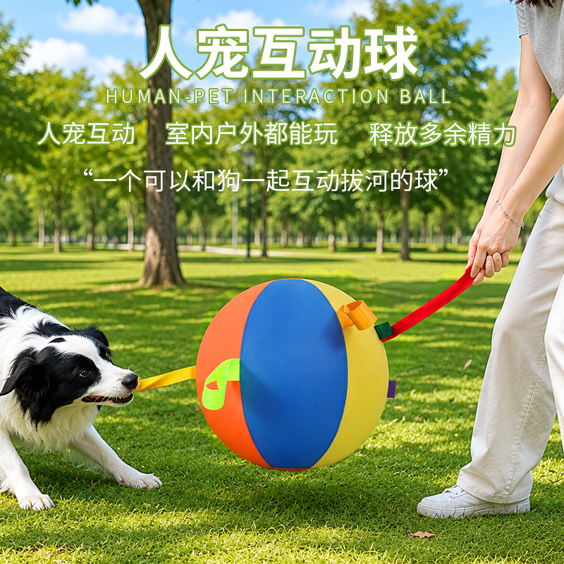 Inflatable Herding Dog Ball, Bite-Resistant Toy for Medium and Large Dogs