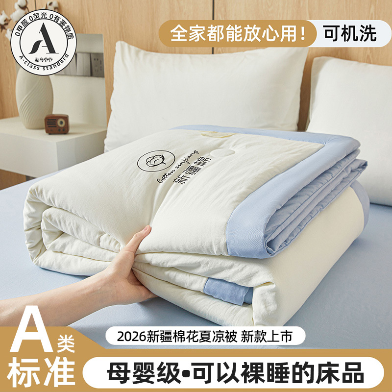 Class A Mother and Baby Grade Summer Cooling Quilt Xinjiang Cotton Summer Quilt Air Conditioning Quilt Core Summer Children's Thin Quilt Single Person Machine Washable - 1