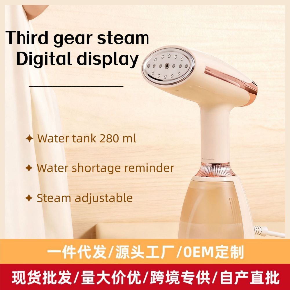 Handheld steam iron with brush head, wet and dry