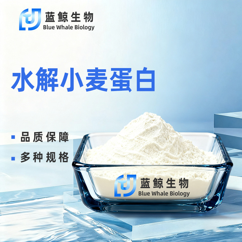 水解小麦蛋白小麦蛋白粉原料蓝鲸生物植物蛋白现货包邮量大优惠