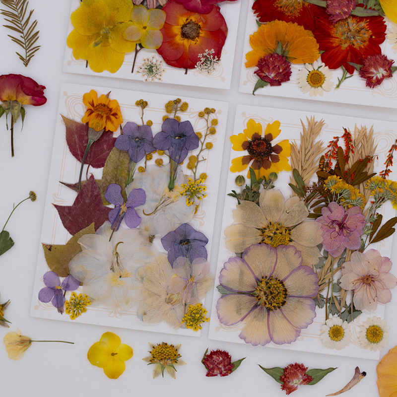 Neue DIY-Handarbeitsmaterialien Fotoaufkleber Klebstoff Lesezeichen Fotorahmen Materialpaket getrocknete Blumen geprägte echte Blumen Pflanzenpräparate