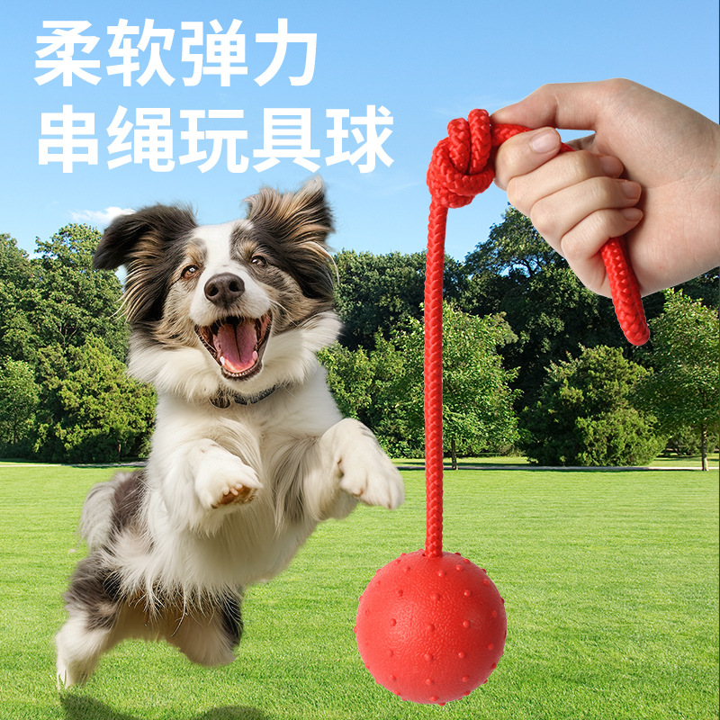 Solid Rubber Dog Training Ball with Rope, Bite-Resistant