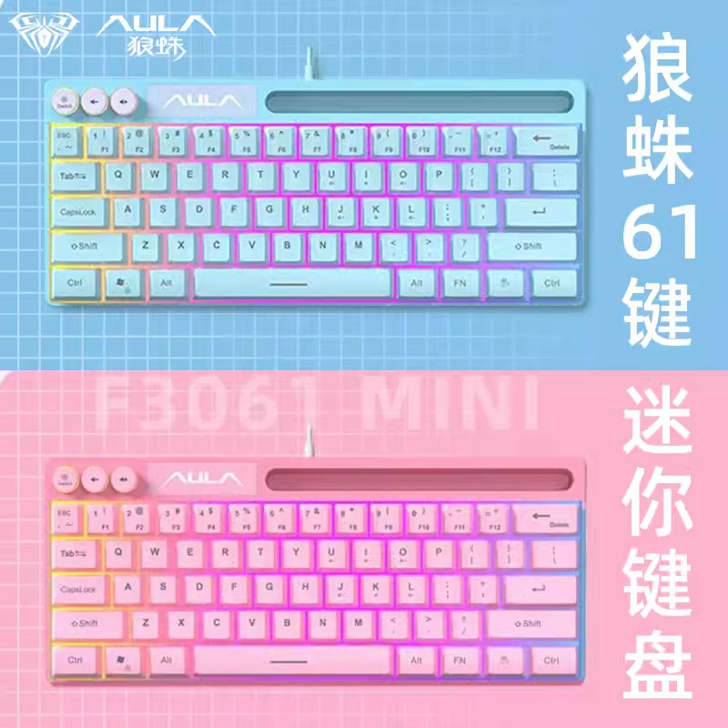 AULA Wolf Spider F3061 Mini Mechanical Feel Keypad 61 Keys Wired RGB Desktop Laptop Tablet Portable