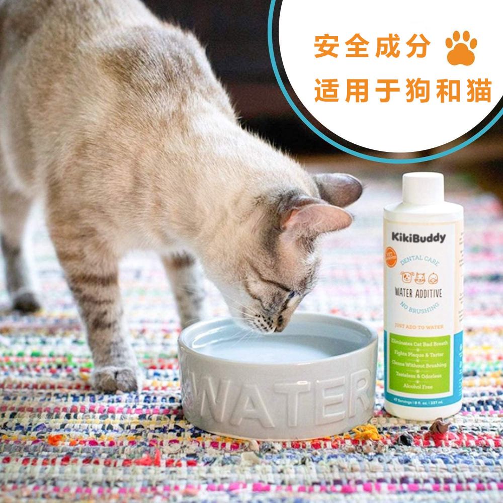 Edible Pet Oral Care Water Additive, Teeth Cleaning, Antibacterial