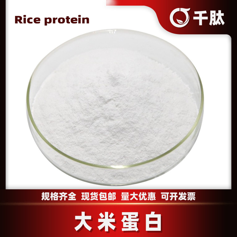 大米蛋白 大米蛋白粉食品水解蛋白粉原料大米提取物