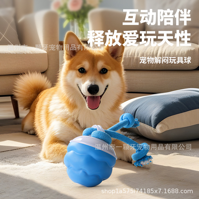 Sınır ötesi akıllı yuvarlanan top elektrikli köpek sıkıntısı giderici akıllı ısırmaya dayanıklı köpek topu diş kaşıma oyuncağı