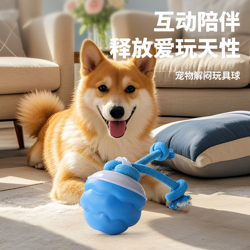Intelligenter elektrischer Hundespielball, interaktiv und bissfest