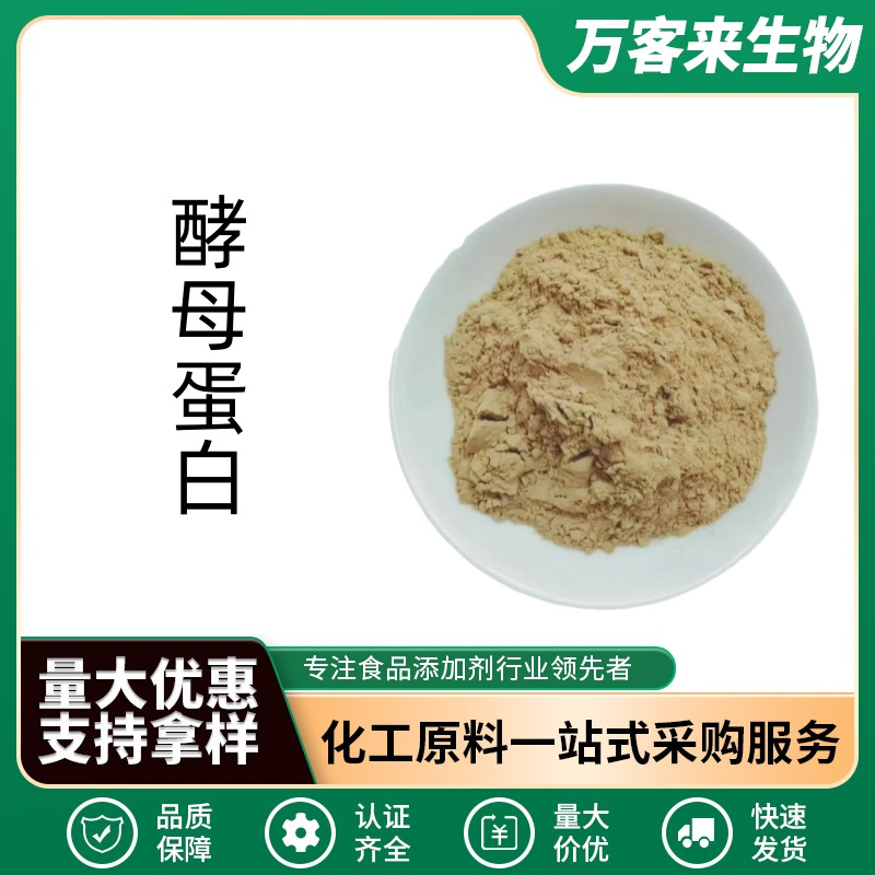 Hefenproteinpulver Lebensmittelqualität F80ec F90ec