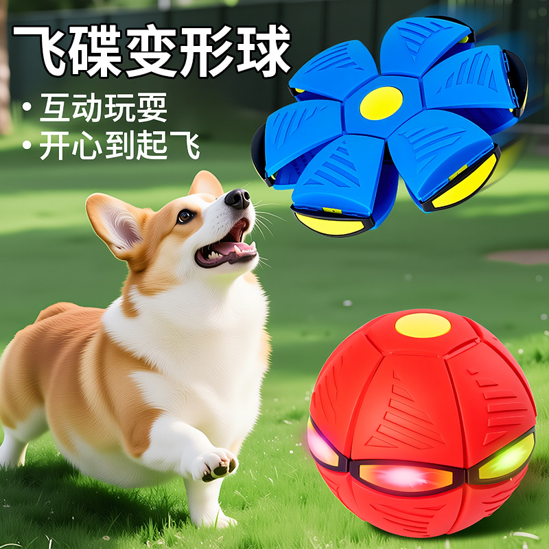 Köpek oyuncağı, deforme olabilen uçan disk top, dayanıklı, Border Collie için