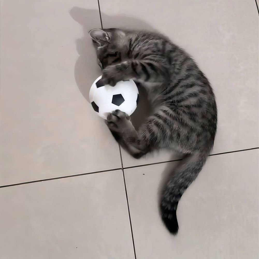 Kedi Futbol Topu, Elastik ve Eğitici Oyuncak - 1
