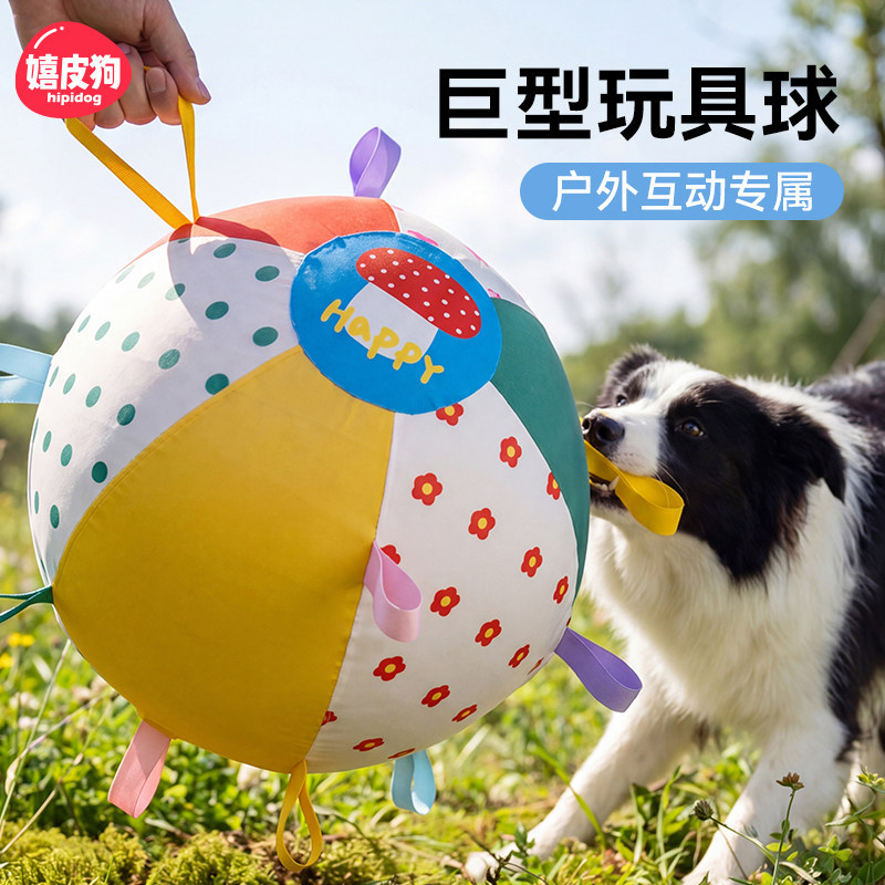 Giant Dog Ball for Large Dogs, Outdoor Chase Toy