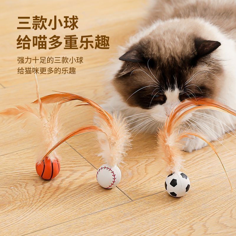 Cat Teaser Wand Elastic Top Feather Tooth Cleaning Fun Self-Play and Boredom Relief Cat Toy Pet Supplies Manufacturer Wholesale