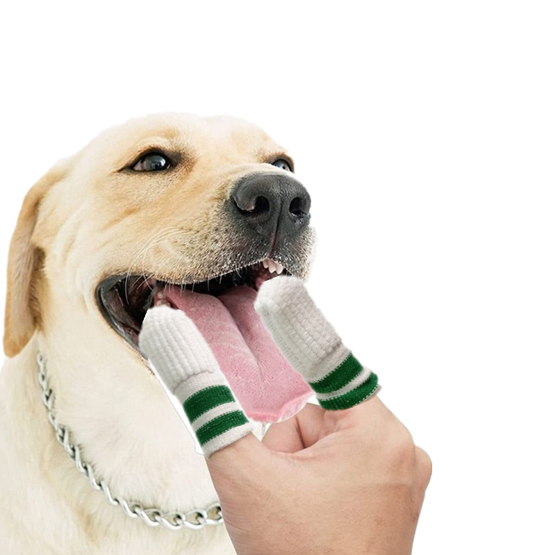 Pet teeth cleaning finger covers for dogs and cats