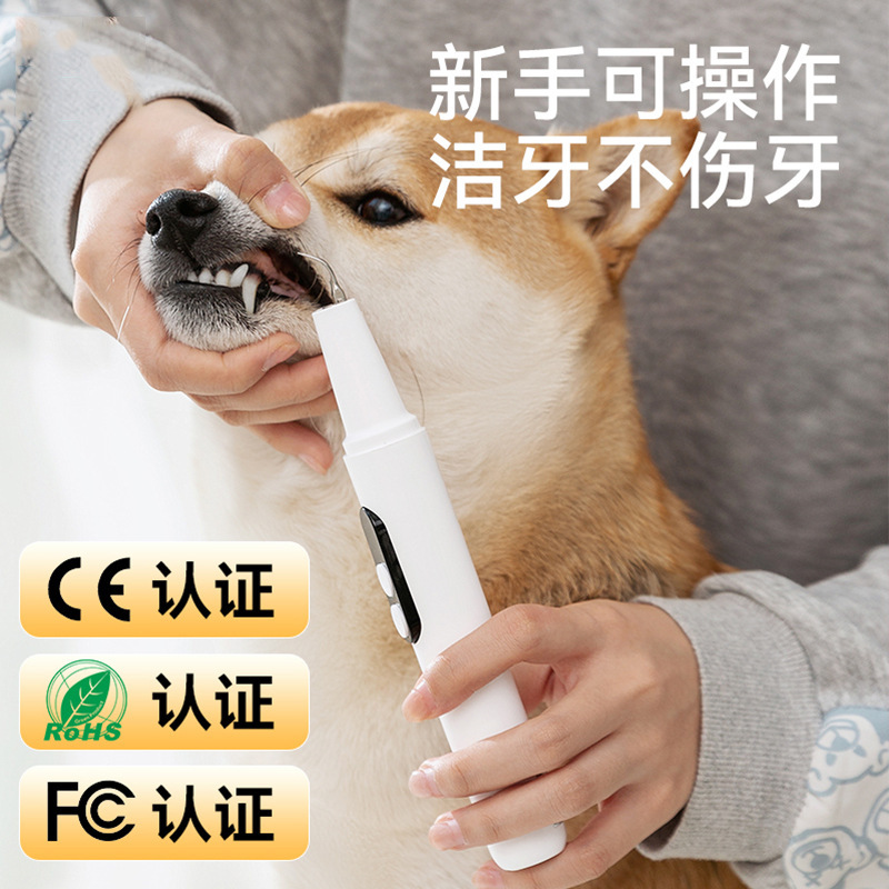 Pet electric toothbrush, dental cleaner and polisher - 1