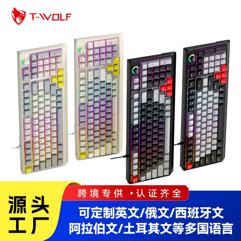 T50 Mechanical Keyboard, Blue Switch, Backlit, Replaceable Keycaps