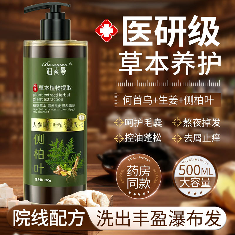 Thujenblatt-Ingwer-Shampoo mit Ginseng, gegen Haarausfall und Schuppen, kontrolliert Fett