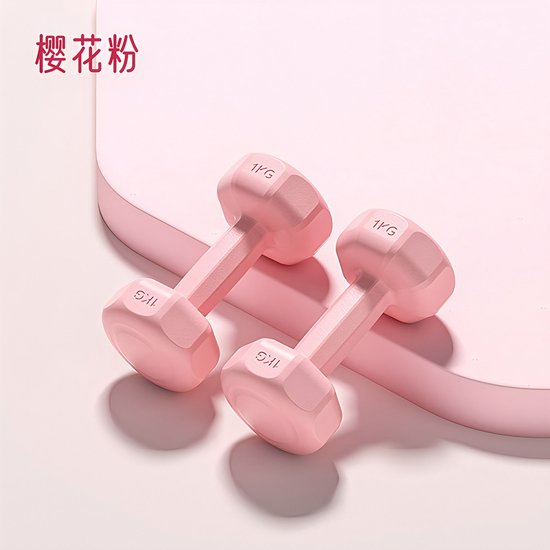 哑铃女士居家健身家用力量锻炼实心浸塑壶铃练臂初学者包胶小哑铃 - 7