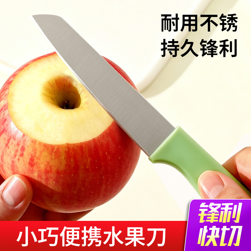Obstschälmesser aus Edelstahl, tragbar, sicher - 1
